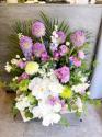 �t�H�g�M�������[�摜