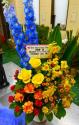 �t�H�g�M�������[�摜