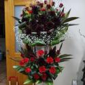 �t�H�g�M�������[�摜