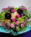 �t�H�g�M�������[�摜