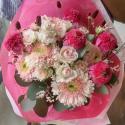 �t�H�g�M�������[�摜