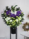 �t�H�g�M�������[�摜