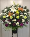 �t�H�g�M�������[�摜