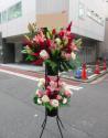 �t�H�g�M�������[�摜