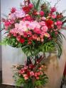 �t�H�g�M�������[�摜