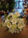 �t�H�g�M�������[�摜