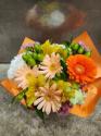 �t�H�g�M�������[�摜