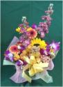 �t�H�g�M�������[�摜