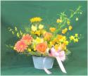 �t�H�g�M�������[�摜
