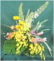 �t�H�g�M�������[�摜