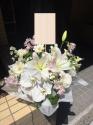 �t�H�g�M�������[�摜