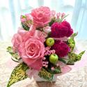�t�H�g�M�������[�摜