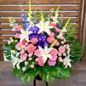 �t�H�g�M�������[�摜