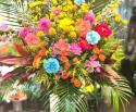�t�H�g�M�������[�摜