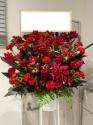 �t�H�g�M�������[�摜