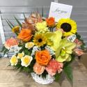 �t�H�g�M�������[�摜