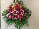 �t�H�g�M�������[�摜