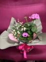 �t�H�g�M�������[�摜