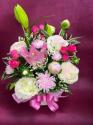 �t�H�g�M�������[�摜