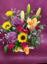 �t�H�g�M�������[�摜