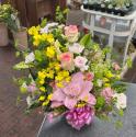 �t�H�g�M�������[�摜