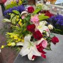 �t�H�g�M�������[�摜