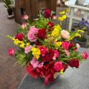 �t�H�g�M�������[�摜