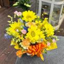 �t�H�g�M�������[�摜