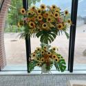 �t�H�g�M�������[�摜
