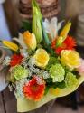 �t�H�g�M�������[�摜