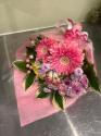 �t�H�g�M�������[�摜