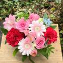 �t�H�g�M�������[�摜