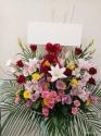 �t�H�g�M�������[�摜