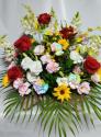 �t�H�g�M�������[�摜