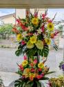�t�H�g�M�������[�摜