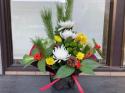 �t�H�g�M�������[�摜