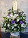 �t�H�g�M�������[�摜