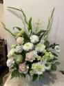 �t�H�g�M�������[�摜