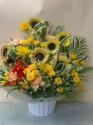 �t�H�g�M�������[�摜