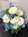 �t�H�g�M�������[�摜