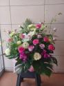 �t�H�g�M�������[�摜
