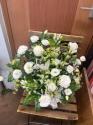 �t�H�g�M�������[�摜