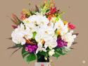 �t�H�g�M�������[�摜