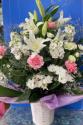 �t�H�g�M�������[�摜