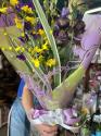 �t�H�g�M�������[�摜