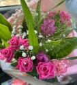 �t�H�g�M�������[�摜