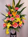 �t�H�g�M�������[�摜