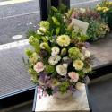 �t�H�g�M�������[�摜