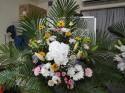 �t�H�g�M�������[�摜