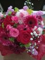 �t�H�g�M�������[�摜